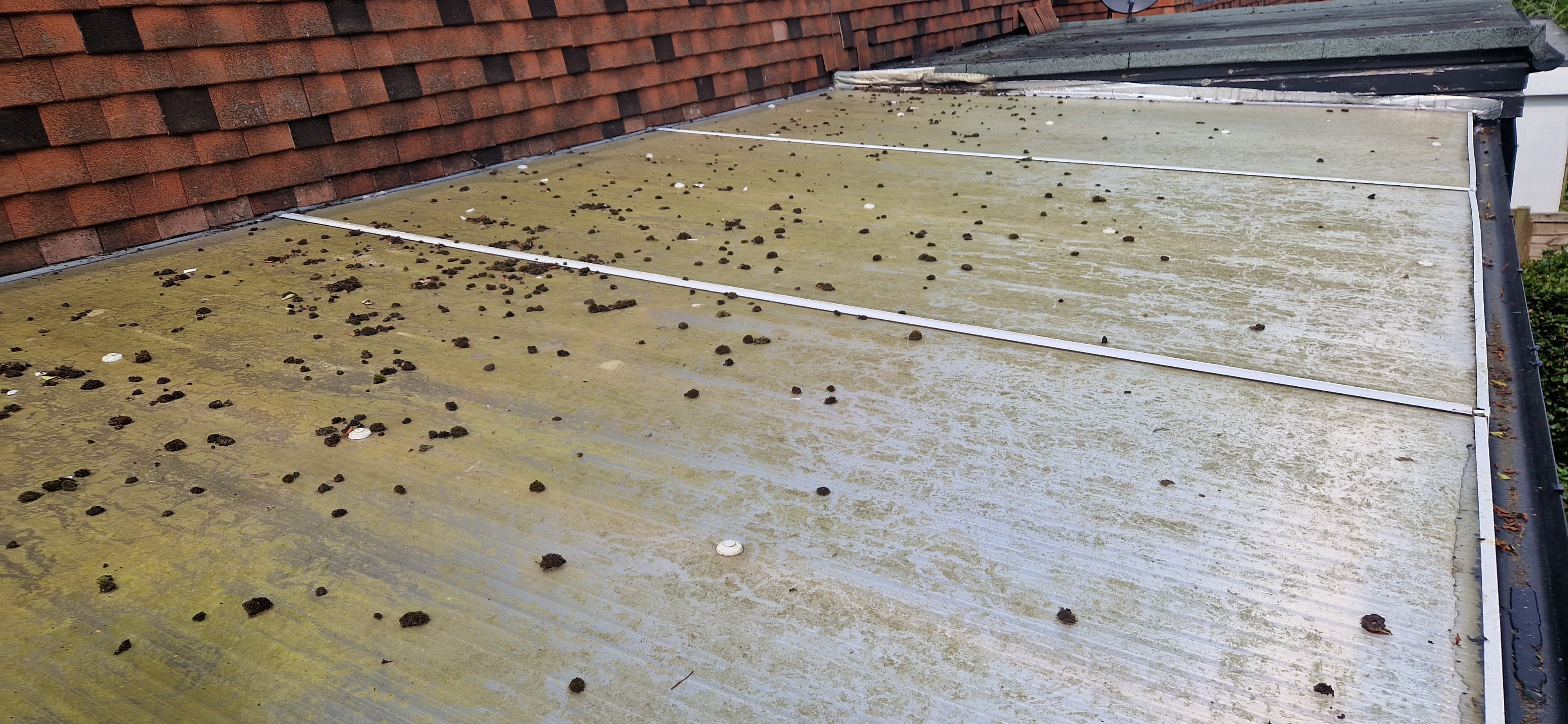 Roof before cleaning