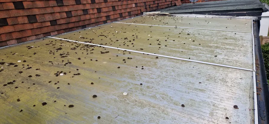 Conservatory roof before cleaning